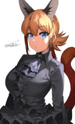 Rule 34 | 1girl, alternate costume, animal ear fluff, animal ears, ascot, black ascot, black dress, blue eyes, caracal (kemono friends), commentary request, dated, dress, expressionless, extra ears, hair between eyes, happa (cloverppd), highres, kemono friends, long hair, long sleeves, looking at viewer, orange hair, signature, simple background, solo, tail, upper body, white background, wing collar