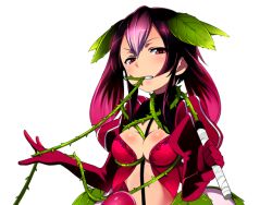 Rule 34 | 1girl, ayakashi onmyouroku, between breasts, blush, breasts, cleavage, gradient hair, holding, impossible clothes, kiya machi, leaf, long sleeves, medium breasts, midriff, mouth hold, multicolored hair, official art, pink eyes, pink hair, plant, puffy long sleeves, puffy sleeves, purple hair, rose whip (ayakashi), solo, thorns, transparent background, vines, whip