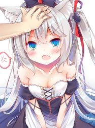 Rule 34 | 1girl, anger vein, animal ears, azur lane, bare shoulders, black bow, black dress, blue bow, blue eyes, blush, bow, breasts, cat ears, cat hair ornament, cleavage, collarbone, commentary request, detached sleeves, dress, esureki, fang, gradient background, grey background, hair between eyes, hair bow, hair ornament, hair ribbon, hammann (azur lane), headpat, highres, long hair, looking at viewer, one side up, open mouth, puffy short sleeves, puffy sleeves, red ribbon, remodel (azur lane), ribbon, short sleeves, silver hair, small breasts, solo focus, spoken anger vein, strapless, strapless dress, v-shaped eyebrows, very long hair, white background