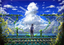 Rule 34 | 1boy, black hair, black pants, blue sky, brown footwear, chain-link fence, cloud, cloudy sky, commentary request, contrail, damaged, day, facing away, fence, from behind, highres, hole, horizon, ivy, male focus, ocean, original, outdoors, overgrown, pants, plant, railroad tracks, shirt, shoes, short sleeves, sky, solo, standing, summer, toonoki, water, white shirt, wide shot