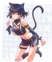Rule 34 | 1girl, animal ears, asymmetrical clothes, bare shoulders, black hair, blake belladonna, bow, cat ears, cat tail, cleavage cutout, clothing cutout, fang, highres, iesupa, midriff, navel, ribbon, rwby, short hair, shorts, solo, tail, white background, yellow eyes