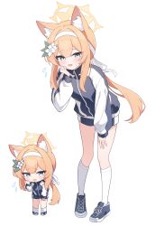 Rule 34 | 1girl, absurdres, animal ear fluff, animal ears, black footwear, black jacket, black shorts, blue archive, blue eyes, blush, breasts, cat ears, flower, flying sweatdrops, gym shorts, gym uniform, hair flower, hair ornament, halo, highres, jacket, long hair, long sleeves, looking at viewer, mari (blue archive), mari (track) (blue archive), multiple views, nonddu, official alternate costume, open mouth, orange hair, shoes, shorts, simple background, small breasts, socks, track jacket, white background, white flower, white socks, yellow halo
