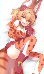 Rule 34 | 1girl, absurdres, animal ears, blush, breasts, character request, cleavage, fang, highres, karekusa meronu, kemono friends, large breasts, looking at viewer, open mouth, orange eyes, orange hair, serval (kemono friends), skin fang, smile, solo, tail, thighhighs