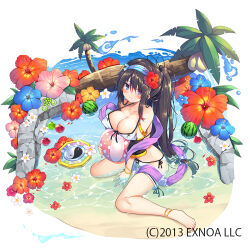 Rule 34 | 1girl, anklet, bare shoulders, between legs, black hair, blue eyes, blue flower, blush, bracelet, breasts, chiri (atlanta), cleavage, collarbone, copyright notice, flower, food, fruit, hair over one eye, hand between legs, hibiscus, jewelry, large breasts, long hair, looking at viewer, official art, palm tree, pink flower, ponytail, red flower, rinne (sennen sensou aigis), sennen sensou aigis, shallow water, simple background, sitting, smile, solo, tree, very long hair, wariza, water, watermelon, white background, white flower, yellow flower, yin yang