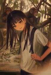 Rule 34 | 1girl, animal, backpack, bag, black bag, branch, brown eyes, eyelashes, funabashi (iwzry), head tilt, highres, long hair, looking at viewer, monkey, original, parted lips, rope, shirt, short sleeves, sign, solo, t-shirt, translation request, tree, white shirt, zoo