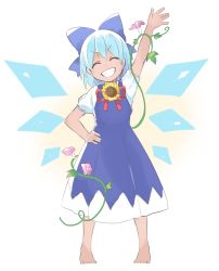 Rule 34 | 1girl, ^ ^, akagashi hagane, barefoot, blue bow, blue dress, blue hair, bow, cirno, closed eyes, dress, flower, full body, grin, hair bow, hand on own hip, head tilt, hidden star in four seasons, highres, ice, ice wings, morning glory, pinafore dress, plant, short hair, short sleeves, sleeveless dress, smile, solo, standing, sunflower, tan, tanned cirno, teeth, touhou, vines, waving, white background, wings