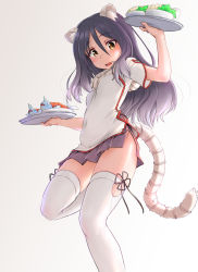 Rule 34 | 1girl, animal ears, black hair, brown eyes, china dress, chinese clothes, commentary request, dress, fish, gradient background, grey background, hair between eyes, highres, holding, holding plate, long hair, looking at viewer, open mouth, plate, princess connect!, shiori (princess connect!), short sleeves, simple background, solo, striped tail, tail, thighhighs, thighs, une, white background, white thighhighs