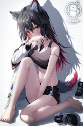 Rule 34 | 1girl, animal ear fluff, animal ears, arknights, arm strap, bare legs, bare shoulders, barefoot, between legs, black hair, black shirt, black shorts, breasts, commission, covering own mouth, crop top, feet, ha en, jacket, large breasts, long hair, looking at viewer, midriff, multicolored hair, navel, orange eyes, pixiv commission, shirt, shoes, short shorts, shorts, sitting, sleeveless, sleeveless shirt, solo, stomach, tail, texas (arknights), thighs, two-tone hair, unworn shoes, white jacket, wolf ears, wolf girl, wolf tail