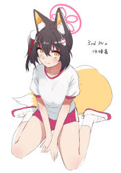 Rule 34 | 1girl, animal ear fluff, animal ears, ariyoshi gen, black hair, blue archive, blush, breasts, closed mouth, fox ears, fox girl, fox tail, full body, gym uniform, hair ornament, halo, izuna (blue archive), looking at viewer, medium hair, red shorts, shirt, shoes, short sleeves, shorts, side ponytail, simple background, sitting, small breasts, smile, socks, solo, tail, uwabaki, wariza, white background, white shirt, white socks, yellow eyes