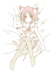 Rule 34 | 1girl, animal ears, bare shoulders, bed sheet, between legs, camisole, cat ears, cat tail, chemise, feet, frilled thighhighs, frills, kubyou azami, legs up, looking at viewer, lying, monochrome, on back, original, sheet grab, short hair, solo, tail, tail between legs, thighhighs