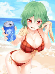 Rule 34 | 1girl, :d, adapted costume, asutora, bare arms, bare legs, bare shoulders, beach, bikini, blush, breasts, cleavage, cloud, cloudy sky, collarbone, commentary request, day, eyebrows, front-tie top, green hair, hair between eyes, halterneck, highres, kazami yuuka, large breasts, looking at viewer, medium breasts, navel, ocean, open mouth, outdoors, plaid, plaid bikini, pocari sweat, reaching, reaching towards viewer, red bikini, red eyes, sand, short hair, side-tie bikini bottom, sky, smile, soda, solo, stomach, string bikini, swimsuit, teeth, thighs, touhou, towel, towel around neck, wavy hair
