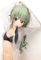 Rule 34 | 10s, 1girl, absurdres, anchovy (girls und panzer), arms up, black bra, blush, bra, breasts, brown eyes, cleavage, collared shirt, commentary request, girls und panzer, green hair, highres, long hair, looking at viewer, medium breasts, mouth hold, navel, open clothes, open shirt, ponytail, ringlets, see-through, seramikku, shirt, solo, stomach, underwear, upper body, white shirt, wing collar