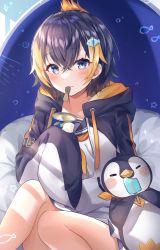 Rule 34 | 1girl, bird, black hair, collarbone, commentary, fish hair ornament, food, hair ornament, haruyuki 14, highres, ice cream, looking at viewer, mouth hold, multicolored hair, nijisanji, nijisanji en, orange hair, penguin, petra gurin, petra gurin (1st costume), short hair, sleeves past wrists, smile, solo, streaked hair, symbol-only commentary, two-tone hoodie, virtual youtuber