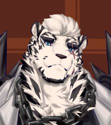 Rule 34 | 1boy, animal ears, arknights, armor, bara, black tank top, blue eyes, chain, chain necklace, chengen ce, close-up, furry, furry male, highres, jewelry, looking at viewer, male focus, mountain (arknights), necklace, pauldrons, scar, scar across eye, scar on face, short hair, shoulder armor, solo, tank top, thick eyebrows, tiger boy, tiger ears, tiger stripes, white fur, white hair