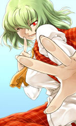 Rule 34 | 1girl, ascot, breasts, female focus, fourth wall, green hair, index finger raised, kazami yuuka, one eye closed, phenne, plaid, plaid vest, red eyes, shirt, short hair, skirt, smile, solo, touhou, vest, wink