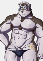 Rule 34 | 1boy, abs, ainu clothes, animal ears, bara, black male swimwear, black one-piece swimsuit, black swim briefs, bulge, chest hair, cowboy shot, furry, furry male, grey fur, grey hair, groin, hand on own hip, headband, highres, horkeu kamui, kawara gawara, large pectorals, looking to the side, male focus, male swimwear, multicolored hair, muscular, muscular male, navel, nipples, one-piece swimsuit, pectorals, scar, scar on chest, scar on leg, short hair, skindentation, solo, standing, stomach, swim briefs, swimsuit, tail, thick thighs, thighs, tokyo houkago summoners, topless male, two-tone fur, two-tone hair, unconventional male swimwear, wolf boy, wolf ears, wolf tail, yellow eyes