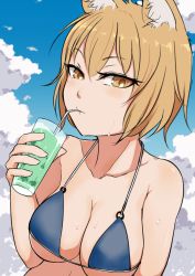 Rule 34 | 1girl, animal ear fluff, animal ears, bare shoulders, bikini, blonde hair, breasts, cleavage, clip studio paint (medium), cloud, cloudy sky, collarbone, cup, day, drinking, fox ears, holding, holding cup, large breasts, light blush, looking at viewer, marsen, no headwear, no headwear, outdoors, short hair, sky, solo, swimsuit, touhou, upper body, yakumo ran