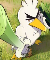 Rule 34 | beak, bird, brown eyes, creatures (company), game freak, gen 8 pokemon, grass, highres, holding, holding shield, holding weapon, kusuriya, looking at viewer, nintendo, no humans, pokemon, pokemon (creature), shield, signature, sirfetch&#039;d, solo, spring onion, standing, thick eyebrows, weapon