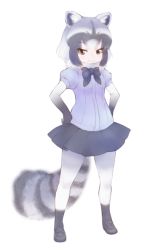 Rule 34 | 10s, 1girl, animal ear fluff, animal ears, black bow, black bowtie, black footwear, black hair, black skirt, bow, bowtie, breast pocket, breasts, brown eyes, closed mouth, common raccoon (kemono friends), elbow gloves, eyebrows, eyelashes, facing away, full body, fur collar, gloves, grey hair, ise (0425), kemono friends, legs apart, loafers, looking at viewer, miniskirt, multicolored clothes, multicolored gloves, multicolored hair, multicolored legwear, pleated skirt, pocket, puffy short sleeves, puffy sleeves, purple shirt, raccoon ears, raccoon tail, shirt, shoes, short hair, short sleeves, simple background, skirt, small breasts, smile, solo, striped tail, tail, white background, white hair