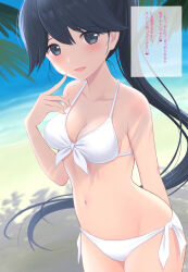 Rule 34 | 1girl, alternate costume, azuki-iro, beach, bikini, black eyes, black hair, breasts, collarbone, day, front-tie top, highres, houshou (kancolle), kantai collection, long hair, looking at viewer, medium breasts, navel, ocean, outdoors, palm leaf, smile, solo, standing, swimsuit, translation request, very long hair, white bikini