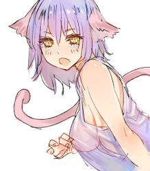 Rule 34 | 1girl, animal ears, breasts, c.cu, cat ears, cat tail, original, see-through, solo, tail