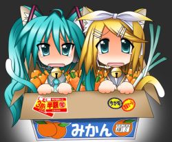 Rule 34 | animal ears, bad id, bad pixiv id, box, carrot, cat ears, cat tail, food, for adoption, fruit, hatsune miku, in box, in container, kagamine rin, long hair, orange (fruit), rindou (awoshakushi), spring onion, tail, tears, very long hair, vocaloid, yamaha