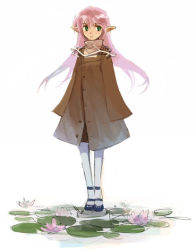 Rule 34 | 1girl, 2no, coat, flower, green eyes, lily pad, lotus, ninomoto, pantyhose, pink hair, pointy ears, solo, standing, white background, white pantyhose