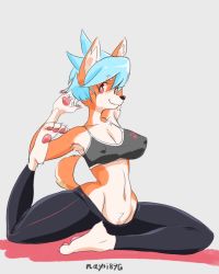 Rule 34 | 1girl, animal ears, armpits, asymmetrical breasts, blue hair, body fur, breasts, cleavage, dog, dog ears, dog tail, full body, furry, furry female, grey background, mayoi89g, original, ramune (mayoi89g), red eyes, short hair, simple background, smile, solo, split, stomach, tail, thighs, yoga
