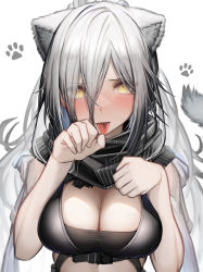 Rule 34 | 1girl, :p, absurdres, animal ears, arknights, black scarf, blush, breasts, cat ears, cat girl, cat tail, cleavage, commentary request, eyes visible through hair, hair between eyes, highres, large breasts, long hair, looking at viewer, paw pose, scarf, schwarz (arknights), simple background, solo, tab head, tail, tongue, tongue out, upper body, white background, white hair, yellow eyes