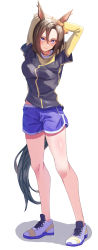 Rule 34 | 1girl, absurdres, air groove (umamusume), alternate costume, animal ears, arms behind head, arms up, blue eyes, breasts, brown hair, closed mouth, dolphin shorts, full body, highres, horse ears, horse girl, horse tail, kento (kentdrawing), long sleeves, looking at viewer, medium breasts, medium hair, midriff peek, parted lips, purple shorts, shirt, shoes, shorts, simple background, sneakers, solo, standing, stretching, tail, umamusume, white background, white footwear