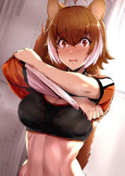 Rule 34 | 1girl, animal ears, antenna hair, backlighting, blazblue, blush, bra, breasts, brown eyes, brown hair, cleavage, clothes lift, commentary request, embarrassed, highres, indoors, large breasts, lifting own clothes, looking at viewer, makoto nanaya, midriff, multicolored hair, navel, nose blush, orange shirt, parted lips, purinnssu, raised eyebrows, revision, sanpaku, shirt, shirt lift, short hair, short sleeves, solo, sports bra, squirrel ears, stomach, sweat, tareme, toned, two-tone hair, underwear, undressing, upper body, white hair