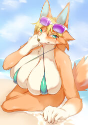 Rule 34 | 1girl, absurdres, animal crossing, animal ears, audie (animal crossing), beach, bikini, blonde hair, breasts, cloud, day, eyelashes, female focus, furry, furry female, ginko0101, green bikini, green eyes, highres, huge breasts, looking at viewer, micro bikini, nintendo, ocean, open mouth, outdoors, sand, skindentation, sky, solo, sparkle, sunglasses, sunglasses on head, swimsuit, tail, thick thighs, thighs, water, wolf ears, wolf girl, wolf tail