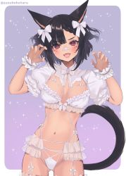Rule 34 | 1girl, animal ears, bandaid, bandaid on face, bandaid on nose, black hair, breasts, claw pose, commission, final fantasy, final fantasy xiv, gluteal fold, hands up, highres, lingerie, looking at viewer, medium breasts, medium hair, open mouth, red eyes, skeb commission, solo, suzuho hotaru, tail, twitter username, underwear, warrior of light (ff14)