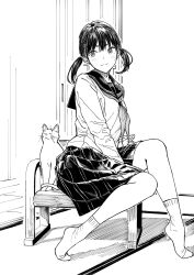 Rule 34 | 1girl, animal, between legs, blush, cat, closed mouth, commentary request, greyscale, hand between legs, highres, hiwatari rin, long sleeves, looking at viewer, monochrome, neckerchief, original, pleated skirt, revision, sailor collar, school uniform, serafuku, shirt, short eyebrows, simple background, sitting, skirt, smile, socks, solo, thick eyebrows, twintails, white background