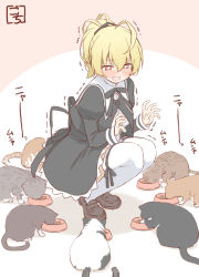 Rule 34 | + +, 1girl, ahoge, andou tazusa, animal, artist name, assault lily, black ribbon, black skirt, blonde hair, blush, bowl, brown background, brown footwear, cat, cat day, commentary request, cropped jacket, eating, full body, gochisousama (tanin050), hair between eyes, hair ribbon, hands up, high-waist skirt, highres, leg ribbon, legs together, loafers, looking at animal, looking down, neck ribbon, nose blush, open mouth, pet bowl, pet food, ponytail, red eyes, ribbon, school uniform, shirt, shoes, short hair, skirt, solo, squatting, surrounded, thighhighs, tiptoes, too many, too many cats, translation request, trembling, two-tone background, white background, white shirt, yurigaoka girls academy school uniform