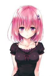 Rule 34 | 10s, 1girl, absurdres, arms at sides, blush, breasts, collarbone, flower, frilled sleeves, frills, frown, hair between eyes, hair flower, hair ornament, hairpin, highres, looking at viewer, momo velia deviluke, pink hair, puffy short sleeves, puffy sleeves, purple eyes, ribbon-trimmed clothes, ribbon trim, scan, short sleeves, simple background, solo, to love-ru, to love-ru darkness, upper body, white background, yabuki kentarou