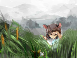 Rule 34 | 1girl, alternate hair color, animal ears, bad id, bad pixiv id, bishamonten&#039;s pagoda, brown hair, capelet, cattail, chidori nekoro, expressionless, fog, glowing, grass, grey sky, half-closed eyes, looking down, mouse ears, nazrin, plant, red eyes, searching, short hair, sky, solo, touhou, water