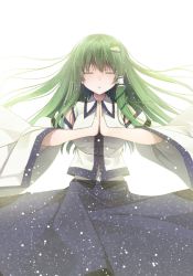 Rule 34 | 1girl, crote, detached sleeves, closed eyes, frog, frog hair ornament, green hair, hair ornament, hair tubes, kochiya sanae, long hair, open mouth, simple background, snake, snake hair ornament, solo, touhou, white background, wide sleeves