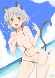Rule 34 | 1girl, 2015, animal ears, artist name, bad id, bad pixiv id, beach, bikini, blush, breasts, cat ears, cat tail, cloud, dated, day, flat chest, green eyes, grey hair, groin, highres, looking at viewer, navel, nipples, open mouth, outdoors, sanya v. litvyak, short hair, side-tie bikini bottom, small breasts, solo, stormcow, strike witches, surprised, swimsuit, tail, untied bikini, wardrobe malfunction, water, wide hips, world witches series