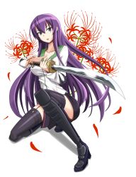Rule 34 | 1girl, black thighhighs, blue eyes, boots, breasts, busujima saeko, female focus, flower, full body, garter straps, highschool of the dead, katana, knee boots, lace, lace-trimmed legwear, lace trim, large breasts, long hair, macha, purple hair, school uniform, solo, spider lily, sword, thighhighs, weapon, white background, zettai ryouiki