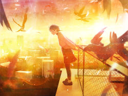 Rule 34 | 1girl, bird, brown eyes, brown hair, chain-link fence, city, cityscape, crow, feathers, fence, iwakura lain, lens flare, looking at viewer, nakamura yukihiro, orange theme, pantyhose, rooftop, serial experiments lain, short hair, skirt, sky, smile, solo, yellow theme