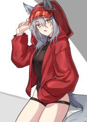 Rule 34 | 1girl, animal ears, arknights, black one-piece swimsuit, commentary, cowboy shot, ears through headwear, fang, female focus, grey hair, hair between eyes, hand in pocket, hand up, highleg, highleg swimsuit, highres, hood, hood up, jacket, looking at viewer, mabing, medium hair, official alternate costume, one-piece swimsuit, open mouth, projekt red (arknights), projekt red (light breeze) (arknights), red jacket, simple background, solo, swimsuit, tail, thigh strap, white background, wolf ears, wolf girl, wolf tail, yellow eyes