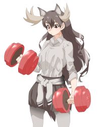 Rule 34 | 1girl, animal ear fluff, animal ears, antlers, brown eyes, brown hair, brown skirt, clothes around waist, collared shirt, commentary request, cowboy shot, dumbbell, extra ears, grey pantyhose, highres, horns, kemono friends, long hair, long sleeves, moose (kemono friends), moose ears, pantyhose, pleated skirt, shirt, simple background, skirt, sleeves rolled up, solo, sweater, sweater around waist, tanabe (fueisei), white background, white shirt