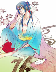 Rule 34 | 00s, 1boy, blue hair, brown eyes, chane, chane (nap cat), flower, japanese clothes, long hair, macross, macross frontier, male focus, ponytail, saotome alto, smile, solo