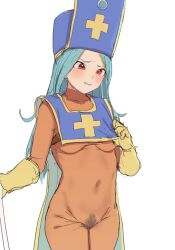 Rule 34 | 1girl, aqua hair, azuse neko, blush, bodysuit, breast curtains, breasts, commentary request, dragon quest, dragon quest iii, female pubic hair, gloves, hat, long hair, medium breasts, mitre, no panties, orange bodysuit, priest (dq3), pubic hair, red eyes, see-through, simple background, sketch, solo, tabard, very long hair, white background, yellow gloves