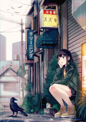 Rule 34 | 1girl, 40hara, :o, ahoge, awning, bird, black hair, black skirt, blurry, brown eyes, building, head rest, city, coat, crow, depth of field, highres, hood, hood down, hooded jacket, jacket, long hair, open clothes, open jacket, open mouth, original, outdoors, puddle, rain, shoes, sidelocks, sign, sitting, skirt, sneakers, solo, utility pole