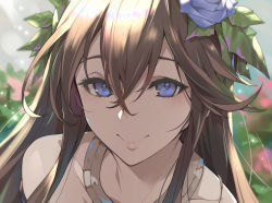 Rule 34 | 1girl, :&gt;, bare shoulders, blue eyes, blue flower, brown hair, closed mouth, commentary request, crossed bangs, day, flower, granblue fantasy, hair between eyes, hair flower, hair ornament, highres, jewelry, kakage, light rays, long hair, looking at viewer, necklace, outdoors, rosetta (granblue fantasy), smile, solo, sunbeam, sunlight, upper body