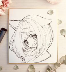 Rule 34 | 1girl, :d, animal ears, art tools in frame, blush, bow, braid, commentary request, hair bow, hair ornament, hairclip, highres, iku kurumi, looking at viewer, open mouth, original, p19, photo (medium), portrait, sailor collar, smile, solo, traditional media