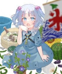 Rule 34 | 1girl, blue eyes, blue footwear, blue hair, blue headwear, blush, boots, bottle, commentary request, cucumber, eggplant, flower, flower pot, food, fruit, hair bobbles, hair ornament, haru (unfu3432), unworn headwear, highres, kagiyama hina, kawashiro nitori, key, looking at viewer, mosquito coil, open mouth, pocket, poster (object), sake bottle, short hair, solo, standing, string, sunflower, sweat, sweatdrop, touhou, two side up, water, watermelon, wrench