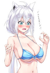 Rule 34 | 1girl, absurdres, animal ear fluff, animal ears, bikini, blue bikini, blush, braid, breasts, claw pose, cleavage, collarbone, commentary, fang, fox ears, fox girl, green eyes, hair between eyes, highres, hololive, large breasts, leeshin0919, looking at viewer, navel, open mouth, shirakami fubuki, shirakami fubuki (hololive summer 2019), sidelocks, simple background, single braid, skin fang, solo, swimsuit, translated, undersized clothes, virtual youtuber, white background, white hair
